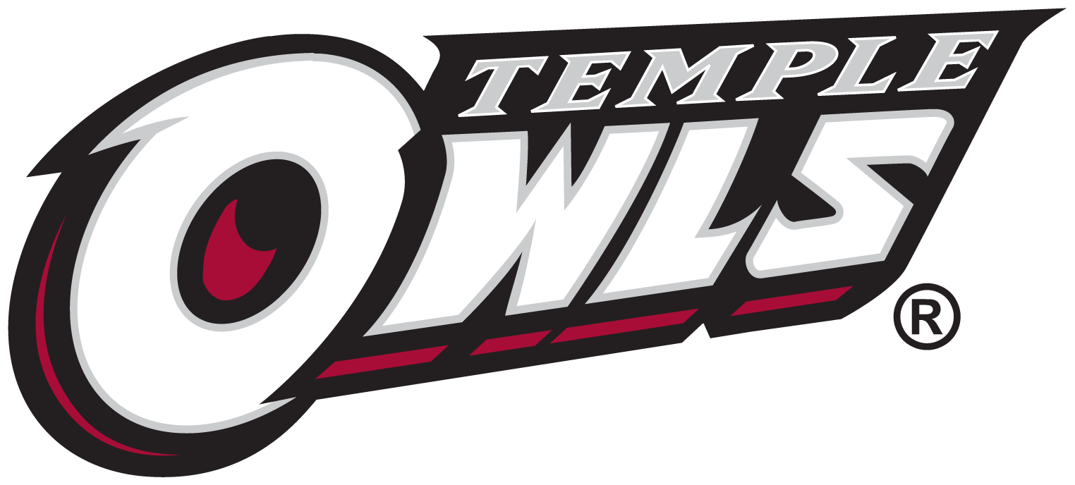 Temple Owls 1996-Pres Wordmark Logo v3 diy DTF decal sticker